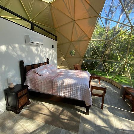 Way To Heaven Glamping Hotell Monteverde Eksteriør bilde