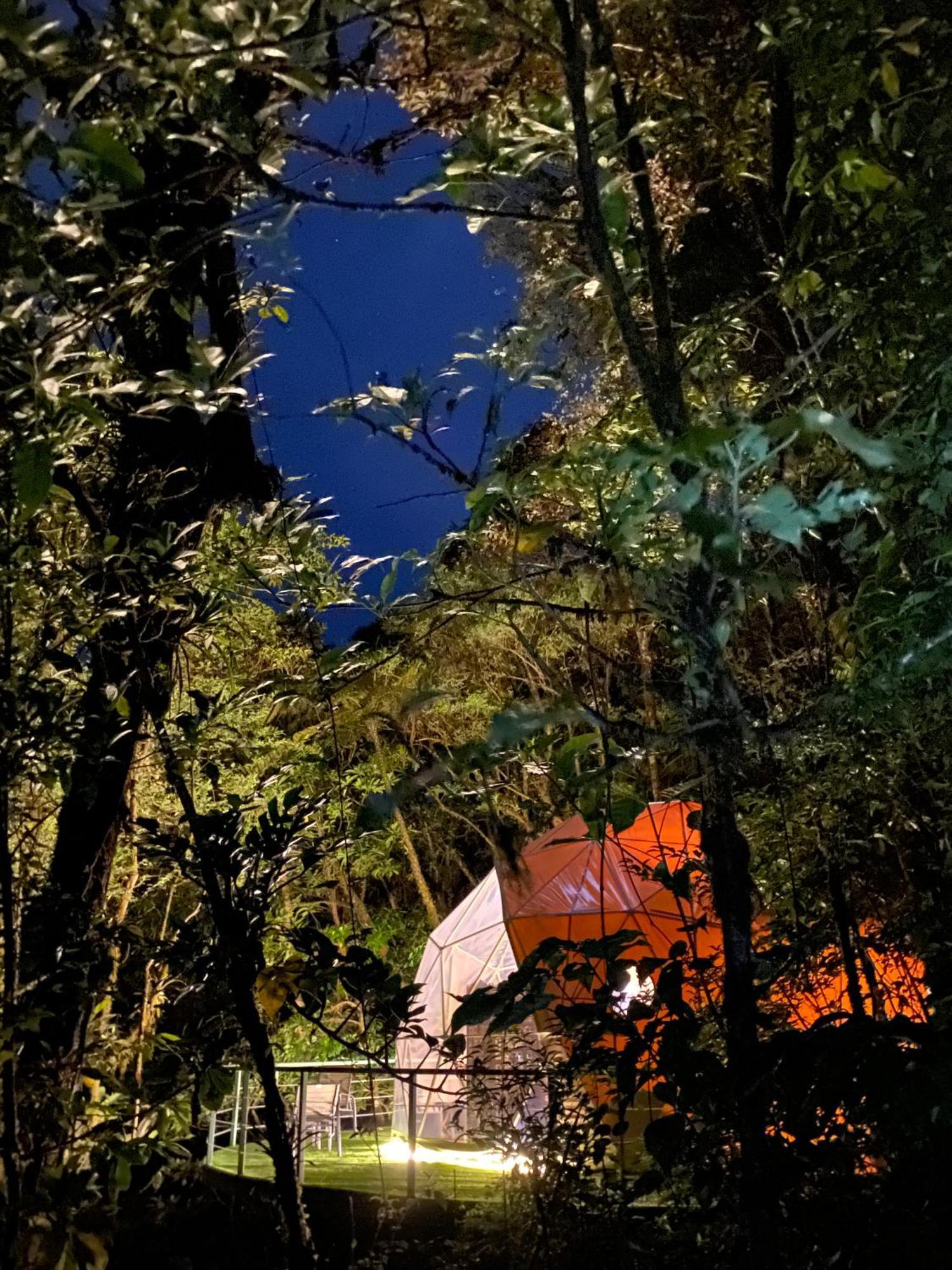Way To Heaven Glamping Hotell Monteverde Eksteriør bilde