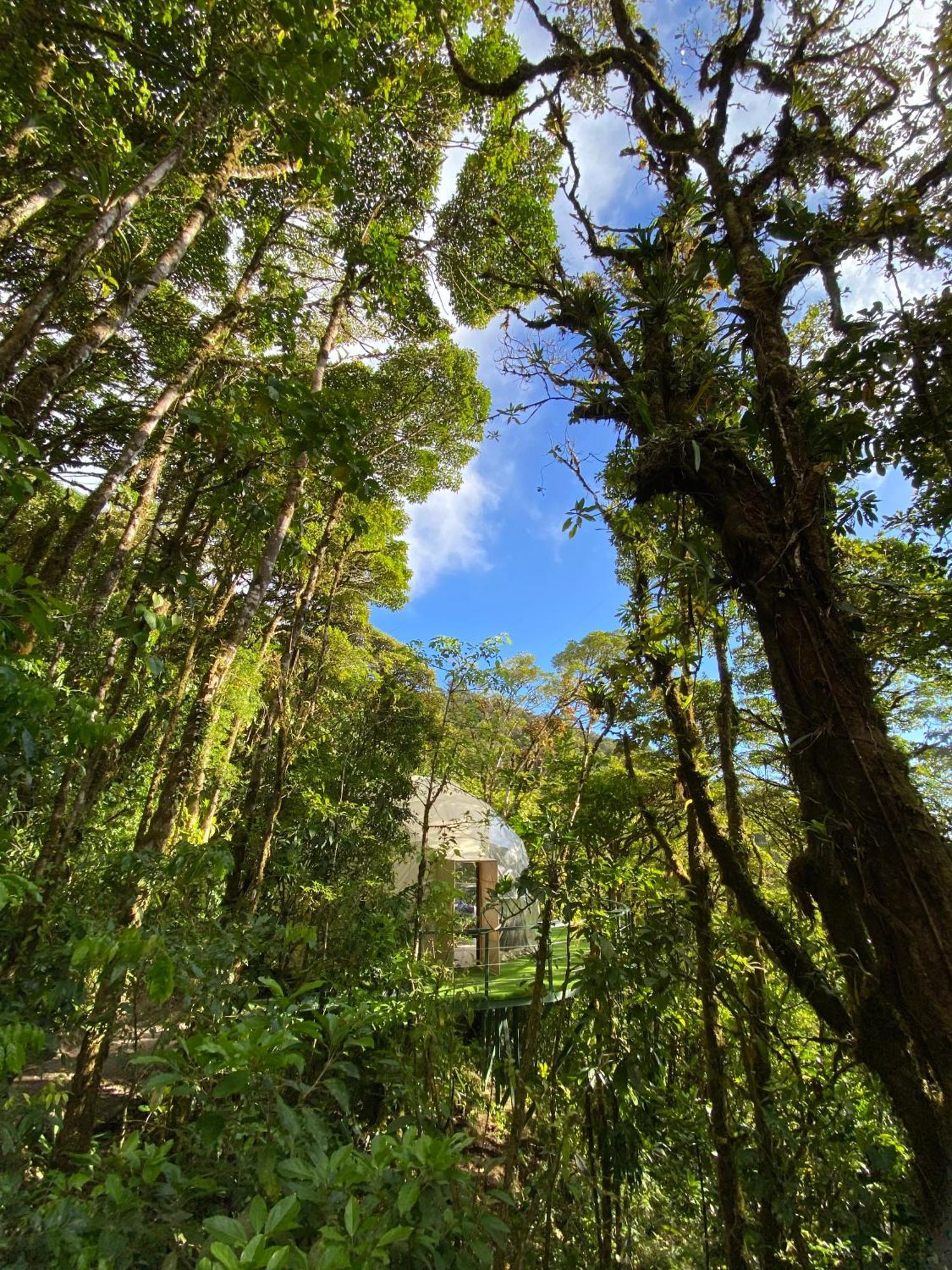 Way To Heaven Glamping Hotell Monteverde Eksteriør bilde